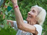 oudere vrouw tuiniert