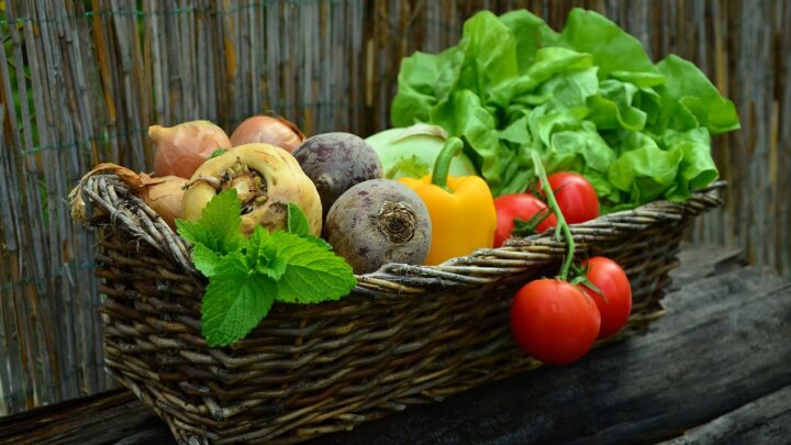 vegetables, basket, vegetable basket